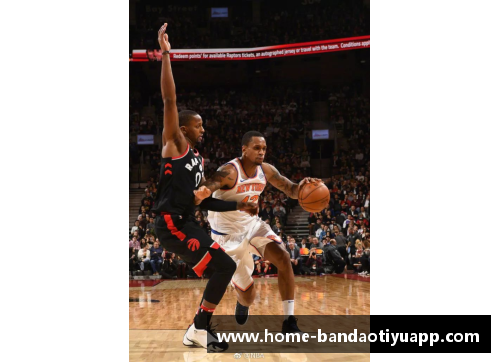 大连NBA：篮球风潮掀起，球迷狂热追随