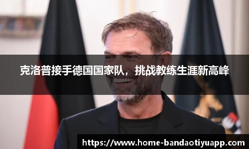 半岛体育app